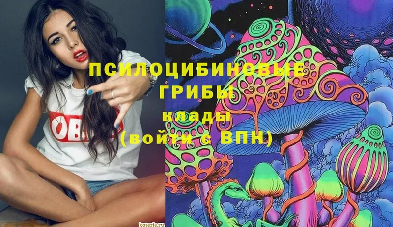 где купить наркоту  Балаково  Псилоцибиновые грибы MAGIC MUSHROOMS 